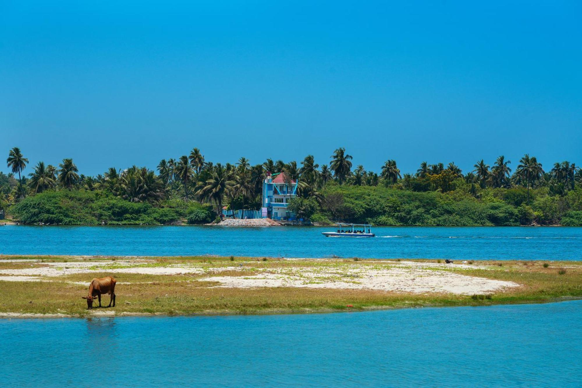 Victoria'S River View Resort Pondicherry Dış mekan fotoğraf
